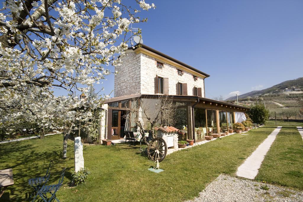 Villa Ada Negrar Exteriér fotografie